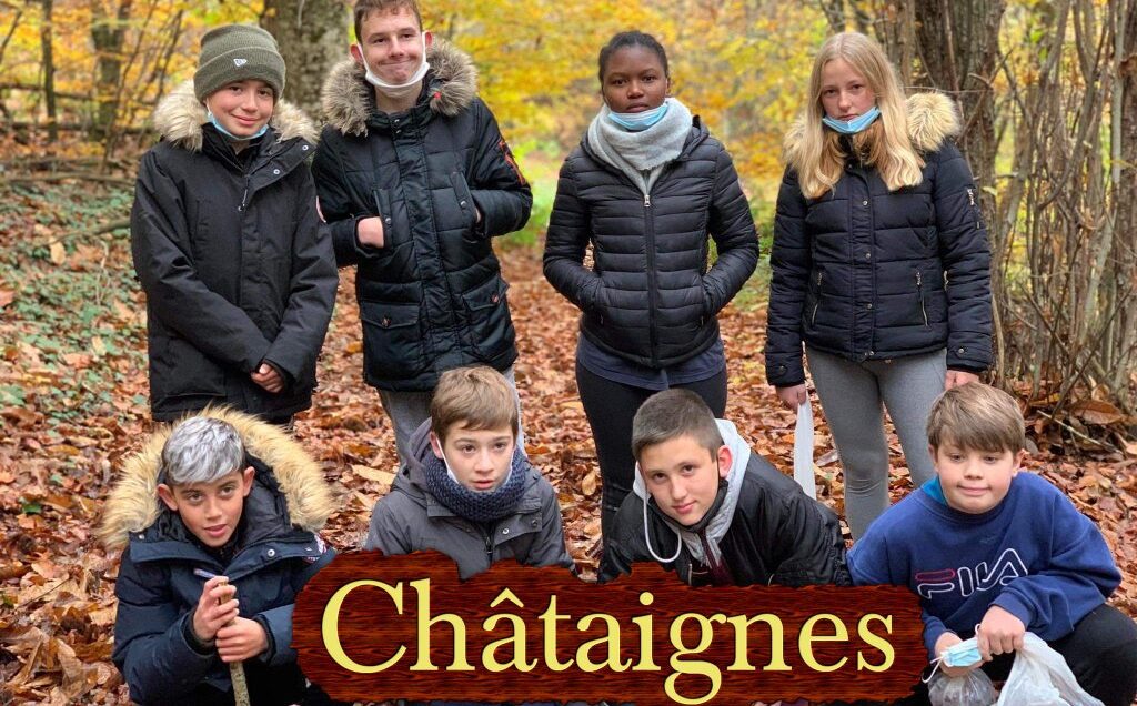 Chataignes - CopieSMALL.jpg